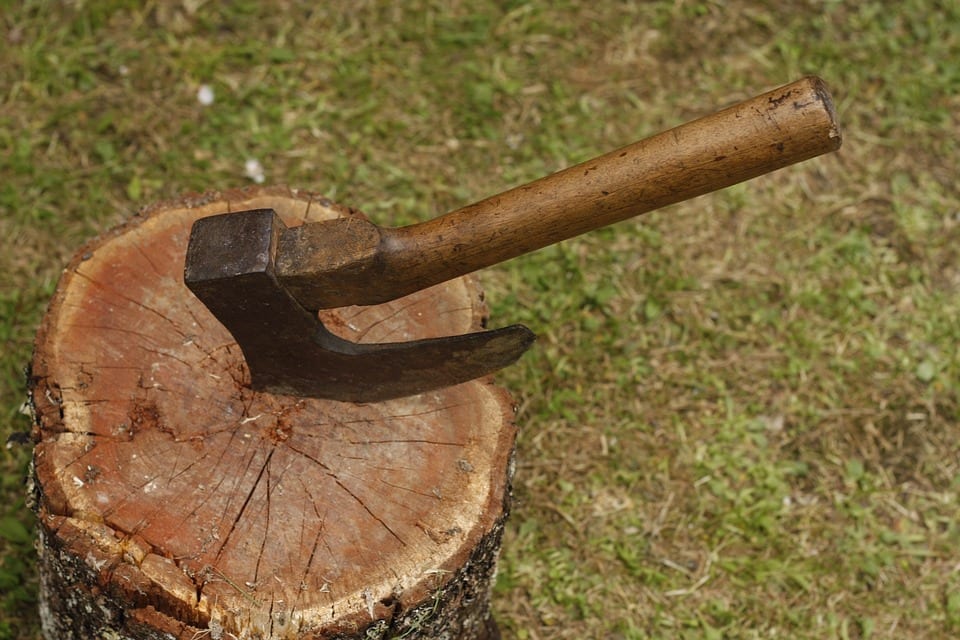 An axe left in a tree stump, surrounded by short grass.