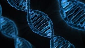 Image of DNA by Publicdomainpictures.net, CC0.