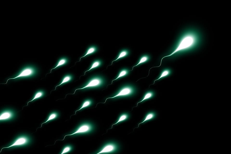Illuminated, stylized sperm swim across a black background.