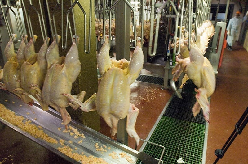 A chicken processing facility in Accomac, VA.