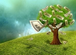 Image of a Money Tree