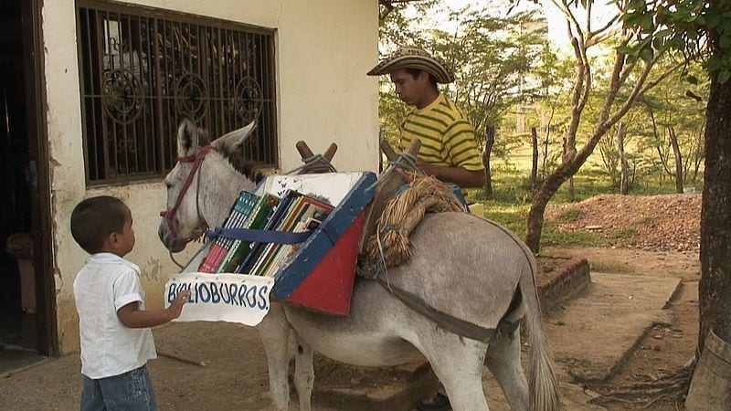 A child approaches a Biblioburro, a donkey carrying books.