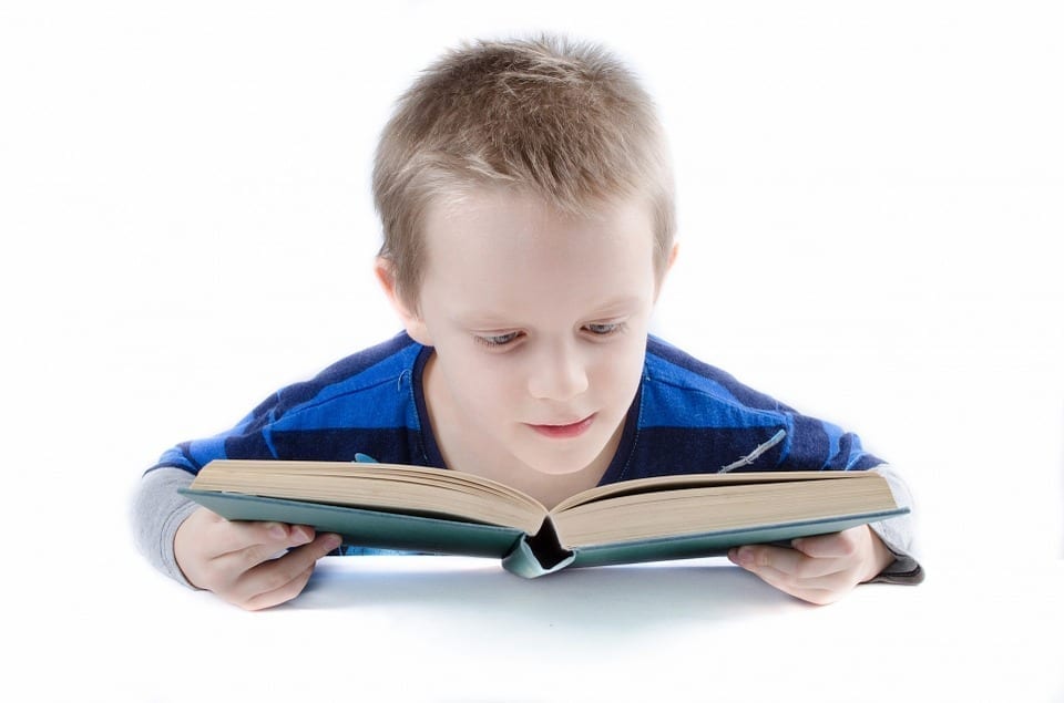 Image of a student reading