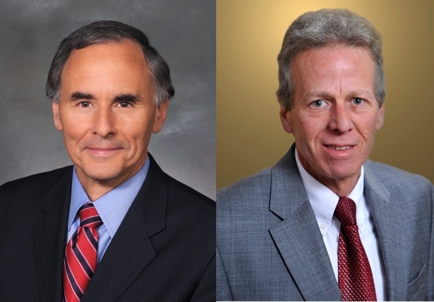 Charles M. Lax (left) and Marc S. Wise (right); images courtesy of Maddin Hauser.