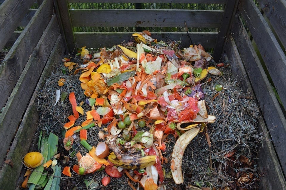 Image of a composting bin