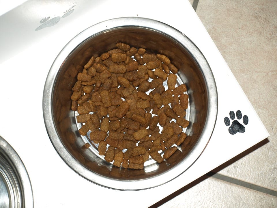 Image of a Bowl of Dog Food