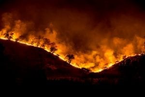 The Woolsey Fire, November 19, 2018; image by Peter Buschmann, Forest Service USDA, Public domain.