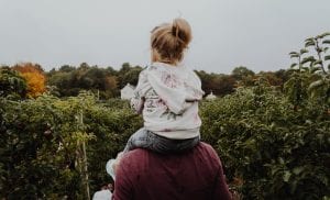 Chloryrifos is Dangerous, but Hasn't Been Banned