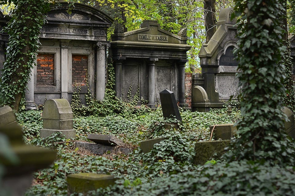 Old burial crypts and headstones, streaked and stained with time, covered with climbing ivy and set into a forest.