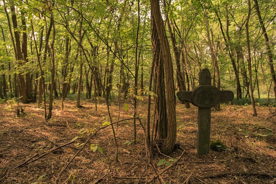 An old, crucifix-shaped grave stone stands in a green forest.