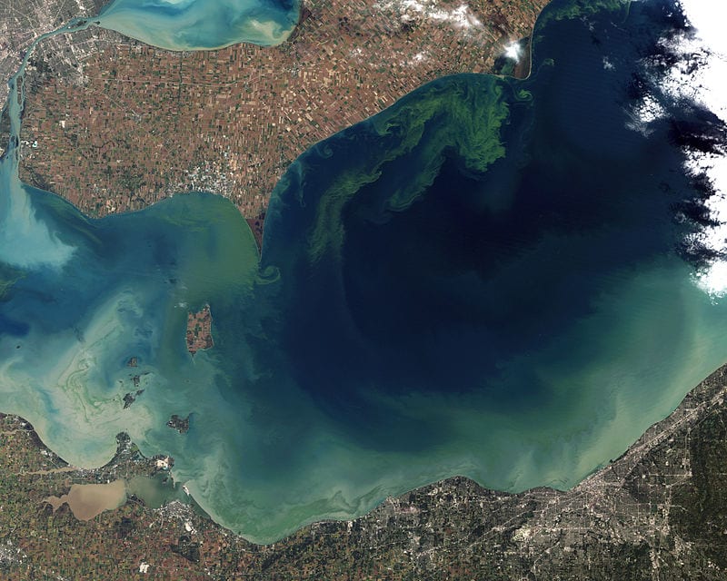 Taken from orbit in October 2011, the worst algae bloom that Lake Erie has experienced in decades