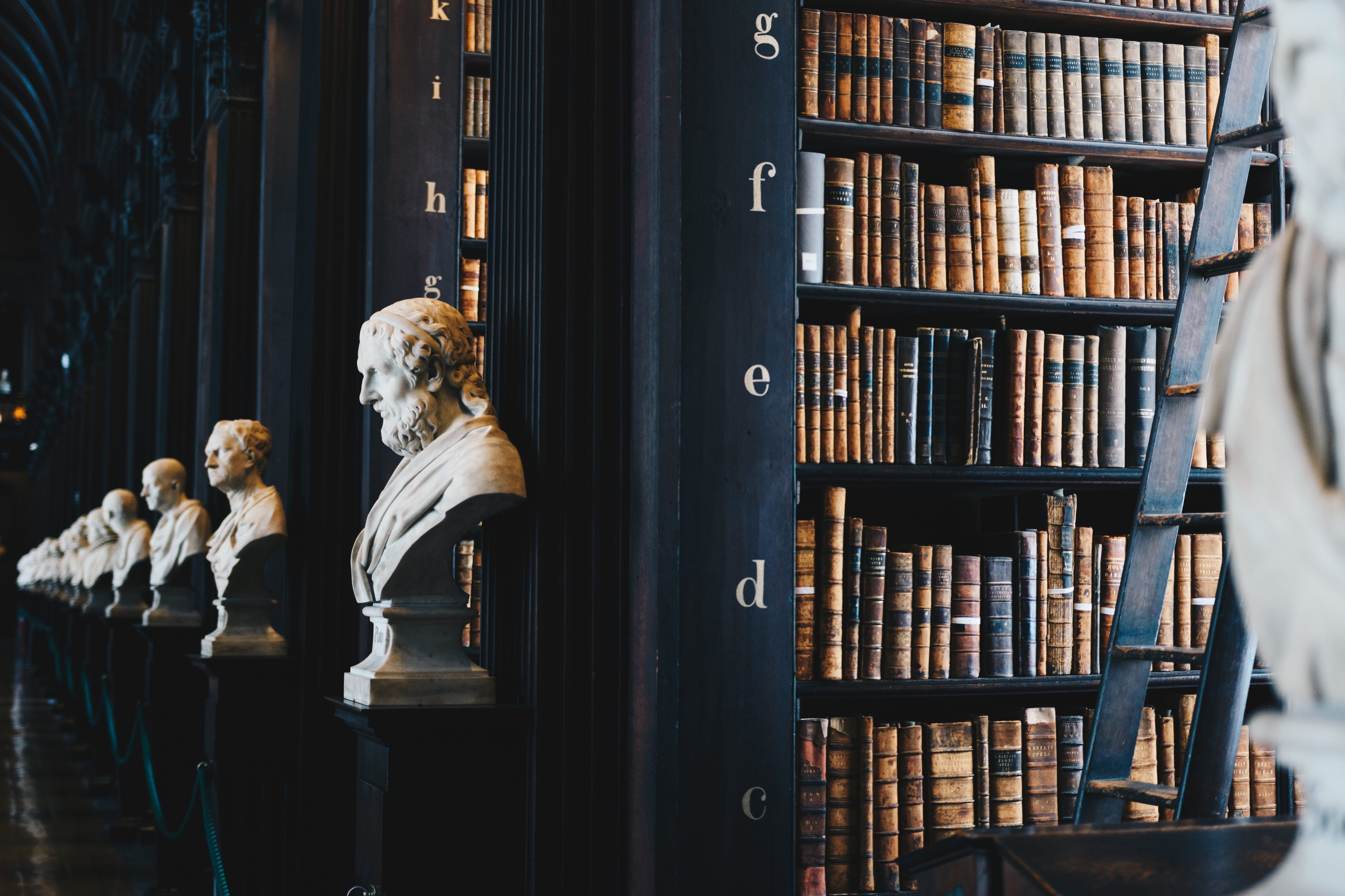 Library shelves with busts of famous people; image by Giammarco Boscaro, via Unsplash.com.