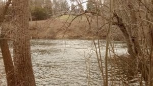 The Huron River flows by, as seen from the bank of the river. It's early spring, with leafless trees and branches and dormant grass around.