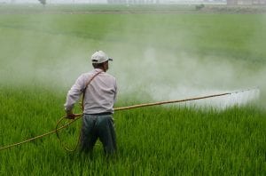 Person spraying herbicide on a field