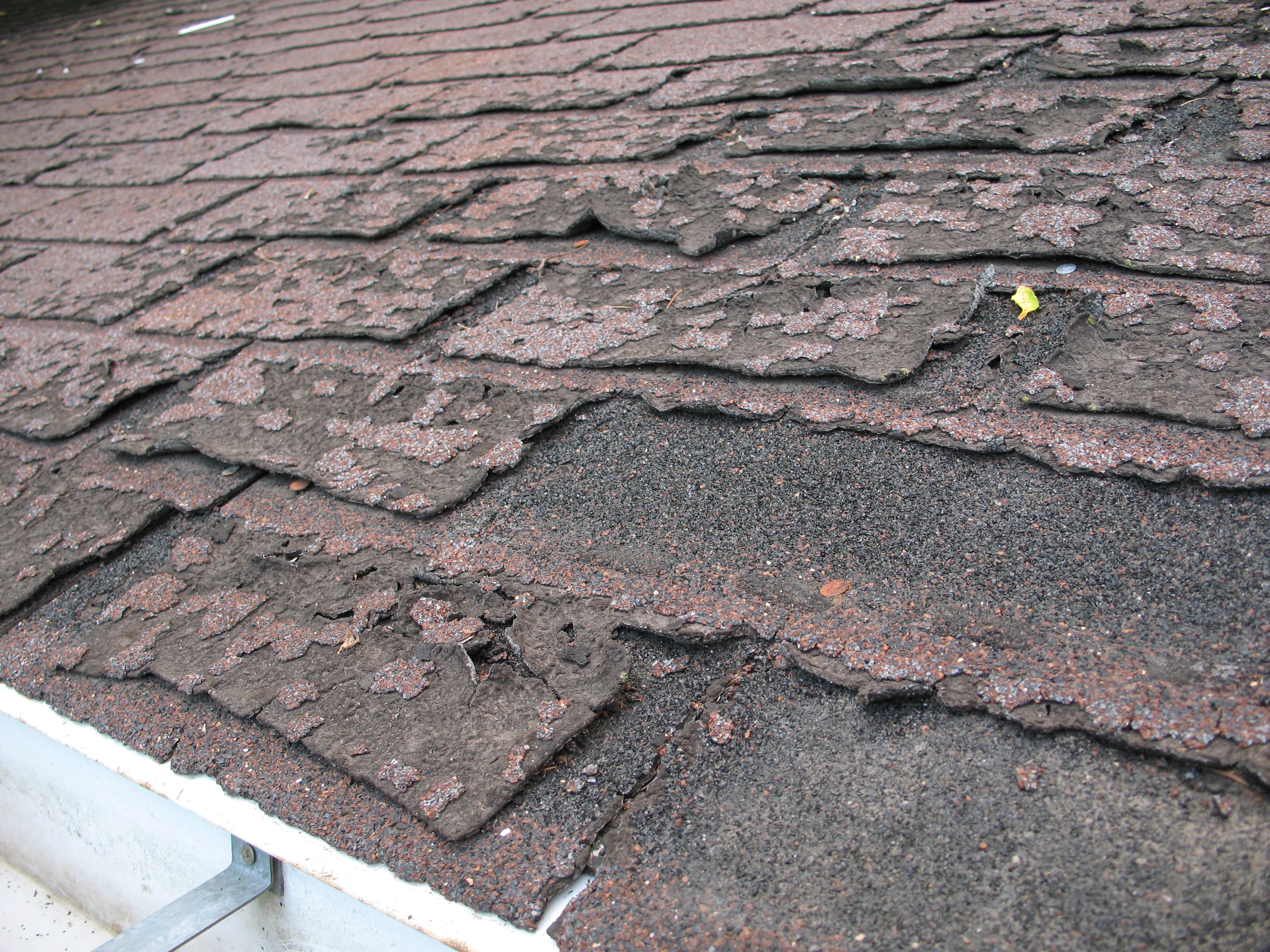 Failure of asphalt shingles allowing roof leakage; image by Dale Mahalko, CC BY-SA 3.0, via wikimedia.org, no changes.