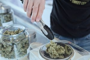 Man using tongs to place marijuana on scale; image by Get Budding, via Unsplash.com.
