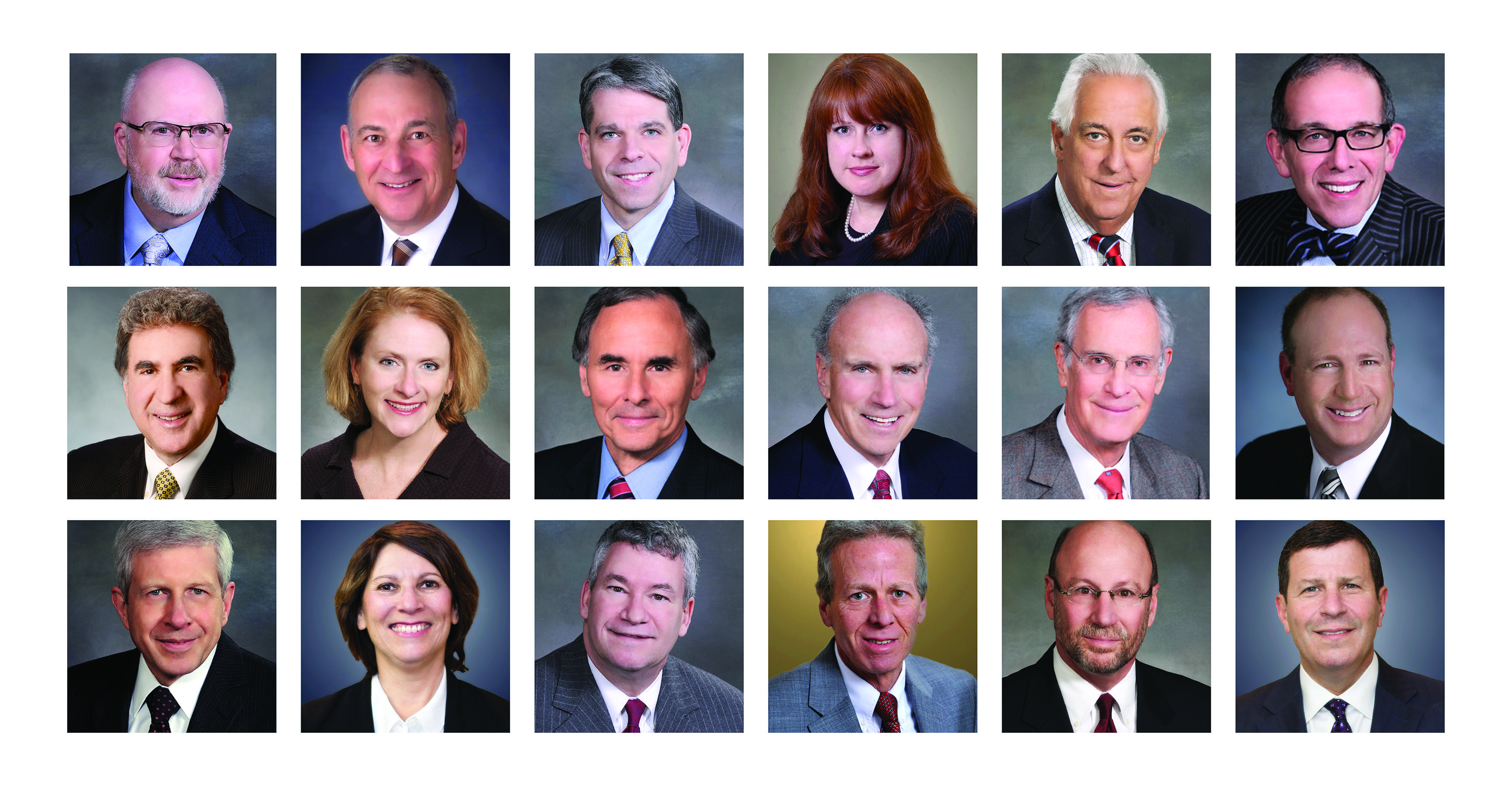 Eighteen of Maddin Hauser's attorneys recognized as Leading Lawyers. From left to right, they are in the order they appear in the article. Image courtesy of Maddin Hauser.