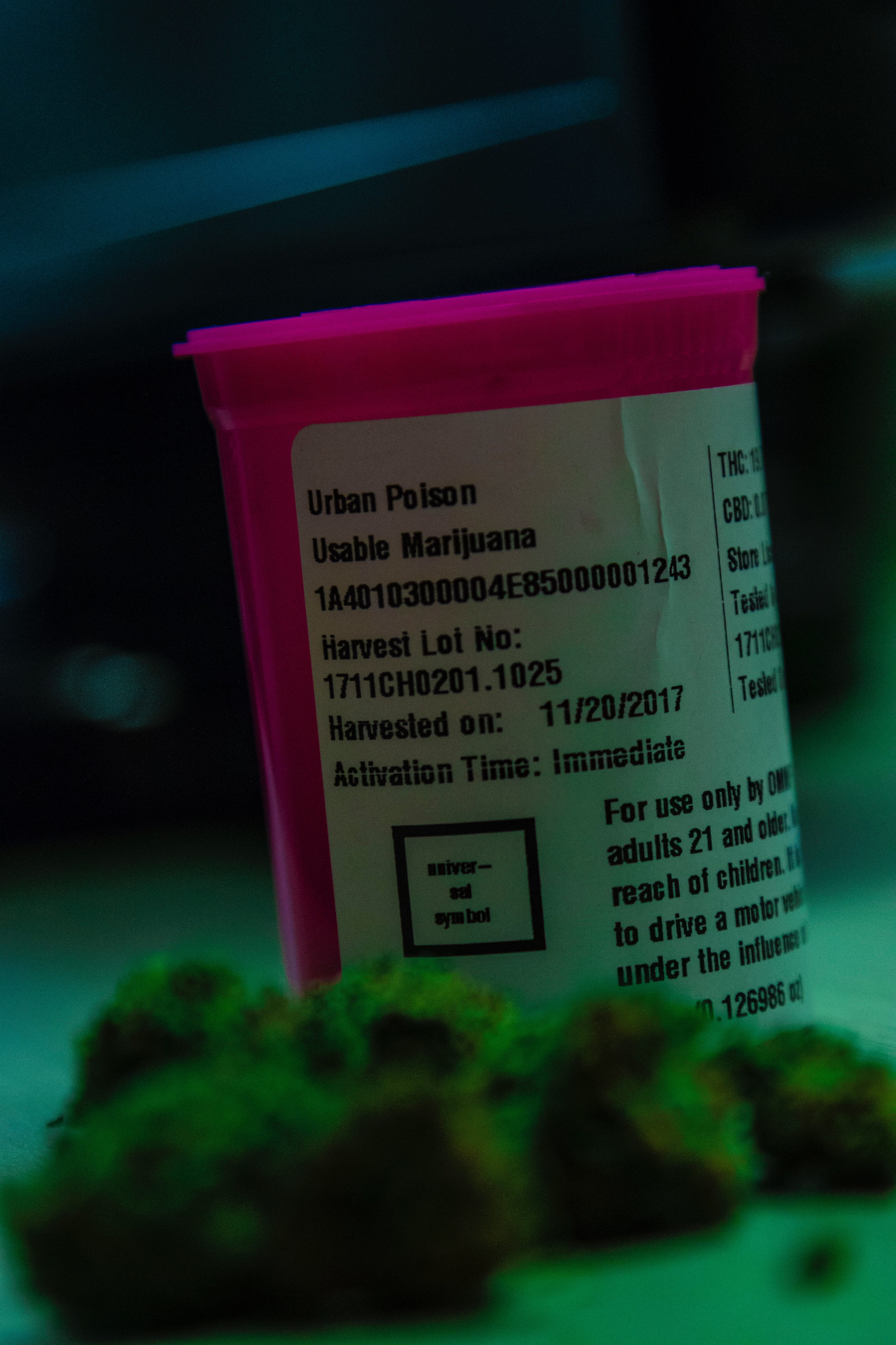 Pink prescription bottle for medical marijuana; image by LexScope, via Unsplash.com.