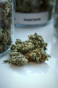 Green kush beside jar; image by Get Budding, via Unsplash.com.