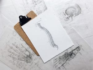 Clipboard with drawing of spine on white paper; image by Joyce McCown, via Unsplash.com.