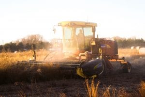 Investigation Suggests Farmers are Taking Advantage of Funds