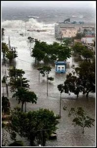 An aerial view of flooding among palm trees.