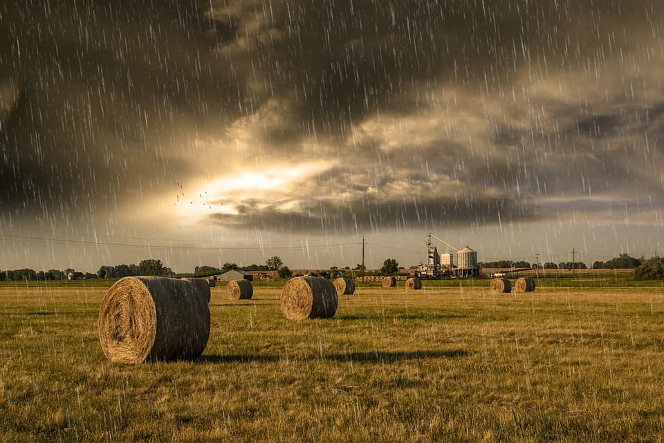A rainy day in farm country, spoiling the hay.