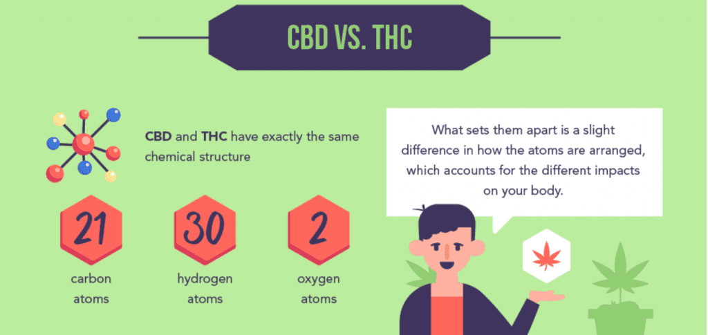 CBD vs. THC; graphic courtesy of author.