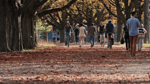 Fall scene, orange leaves on trail with people biking and walking; image by Pixel2013, via Pixabay.com.