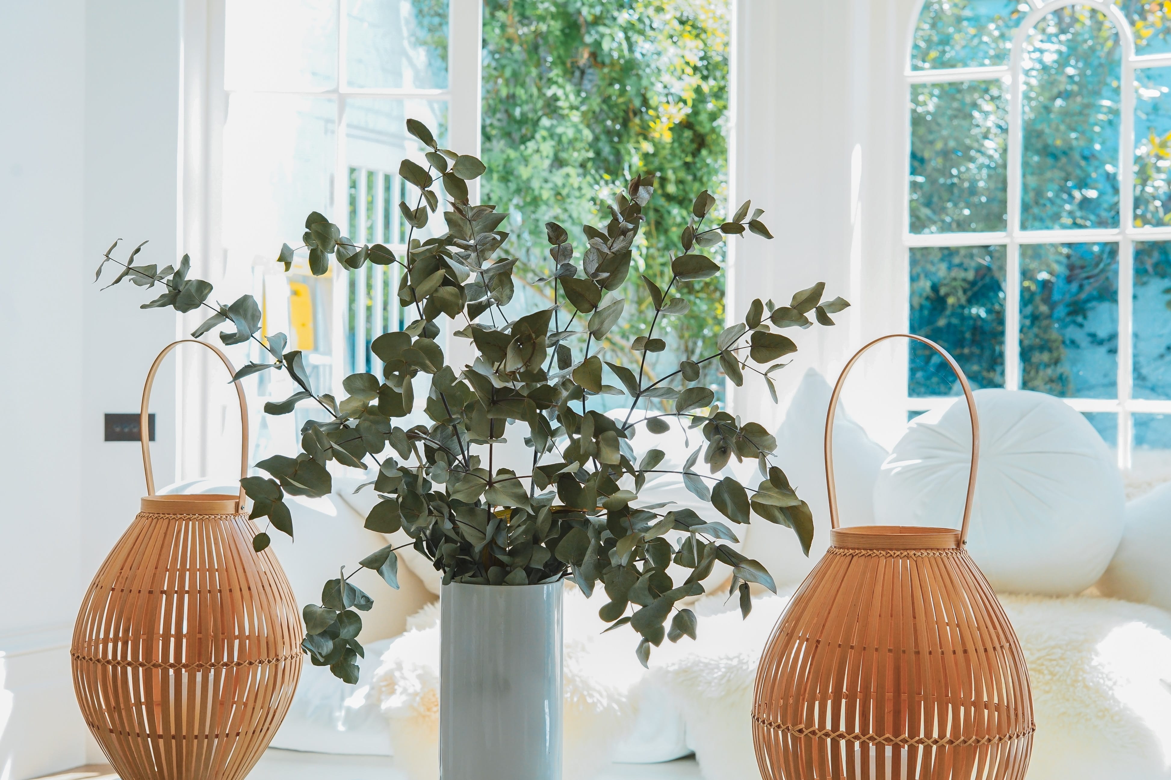 Ornamental eucalyptus in a vase on a table in a white room; image by Toa Heftiba, via Unsplash.com.