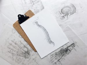 Brown and black clipboard with white spinal cord print; image by Joyce McCown, via Unsplash.com.