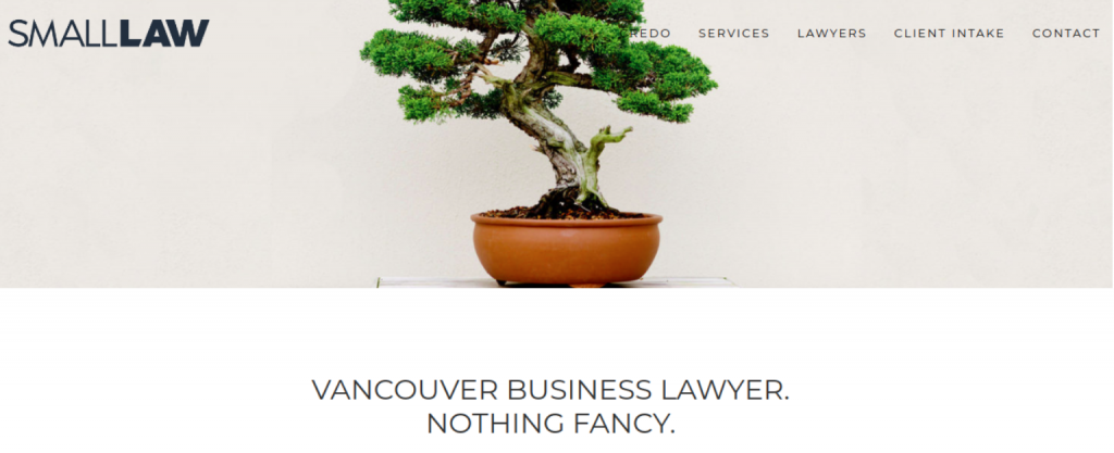 Small Law homepage; image courtesy of small.law.