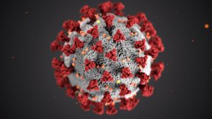 An illustration of the novel coronavirus, named Severe Acute Respiratory Syndrome coronavirus 2 (SARS-CoV-2), responsible for COVID-19. Image by CDC, via Unsplash.com.
