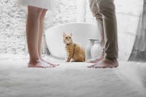 Orange tabby cat sitting between standing man and woman inside room; image by Hutomo Abrianto, via Unsplash.com.