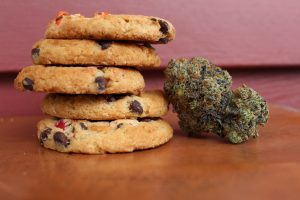 Marijuana cookies with a marijuana flower; image by Margo Amala, via Unsplash.com.