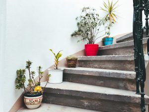 Potted plants on a staircase; image by Kolar.io, via Unsplash.com.