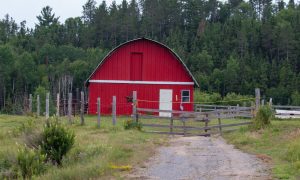 OSHA Won't Investigate Small Farm Injuries, Deaths