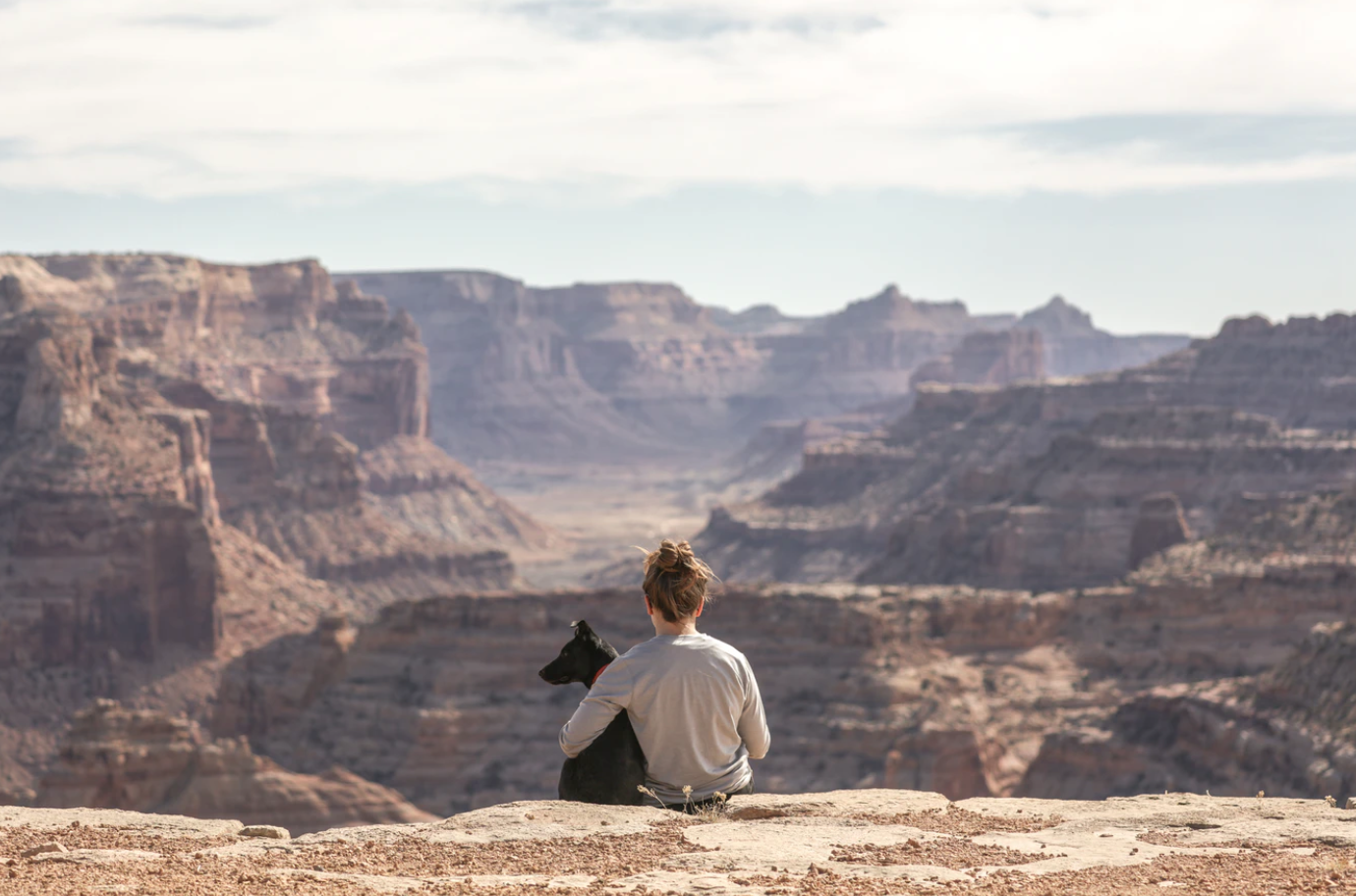 Man and dog overlooking canyon; image by Patrick Hendry, via Unsplash.com.