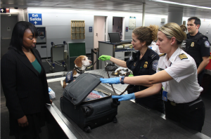 Woman and dog at security station; image by CDC, via Unsplash.com.