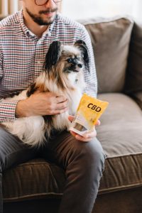 CBD pet treats. Image by Sohini, via Unsplash.com.