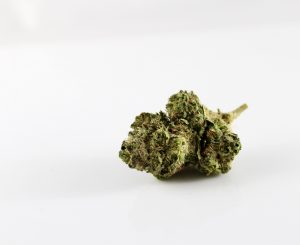 THC Microdosing Provides Pain Relief without Psychoactive Effects