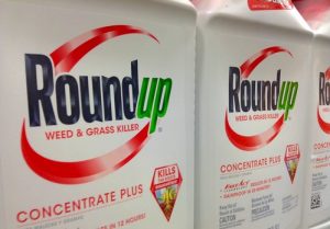 Packages of Roundup weedkiller on a retail shelf.