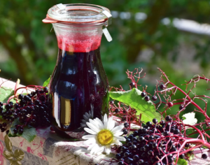 Elderberries and a carafe of elderberry juice; image by RitaE, via Pixabay.com.