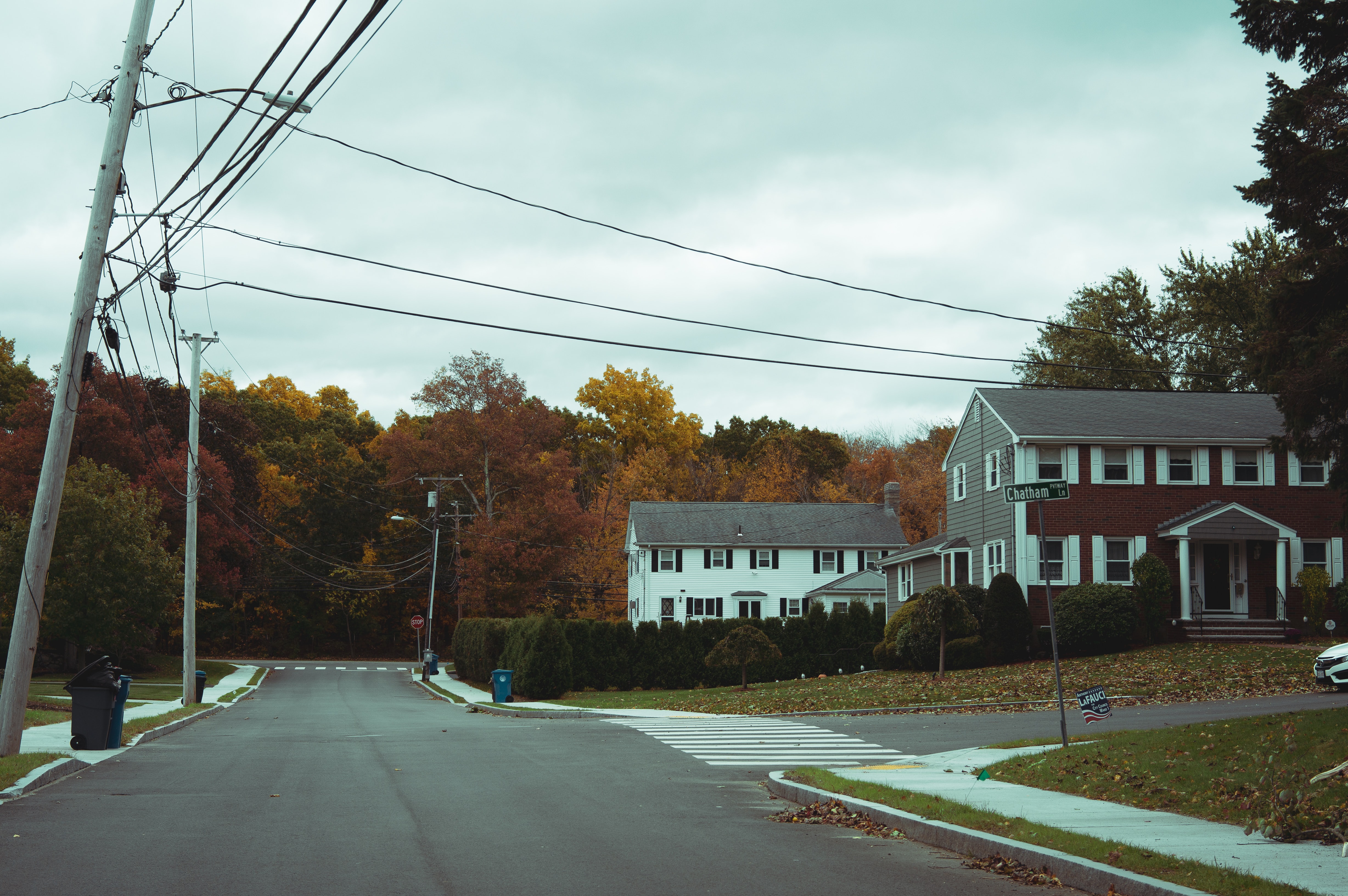 Suburban street in Boston during Fall; image by Eilis Garvey, via Unsplash.com.