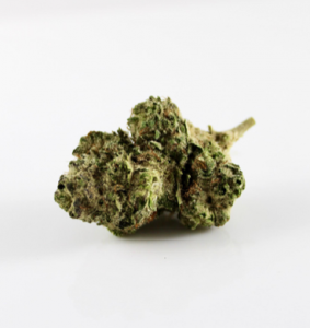 A cannabis “nugget”; image by Christina Winter, via unsplash.com.