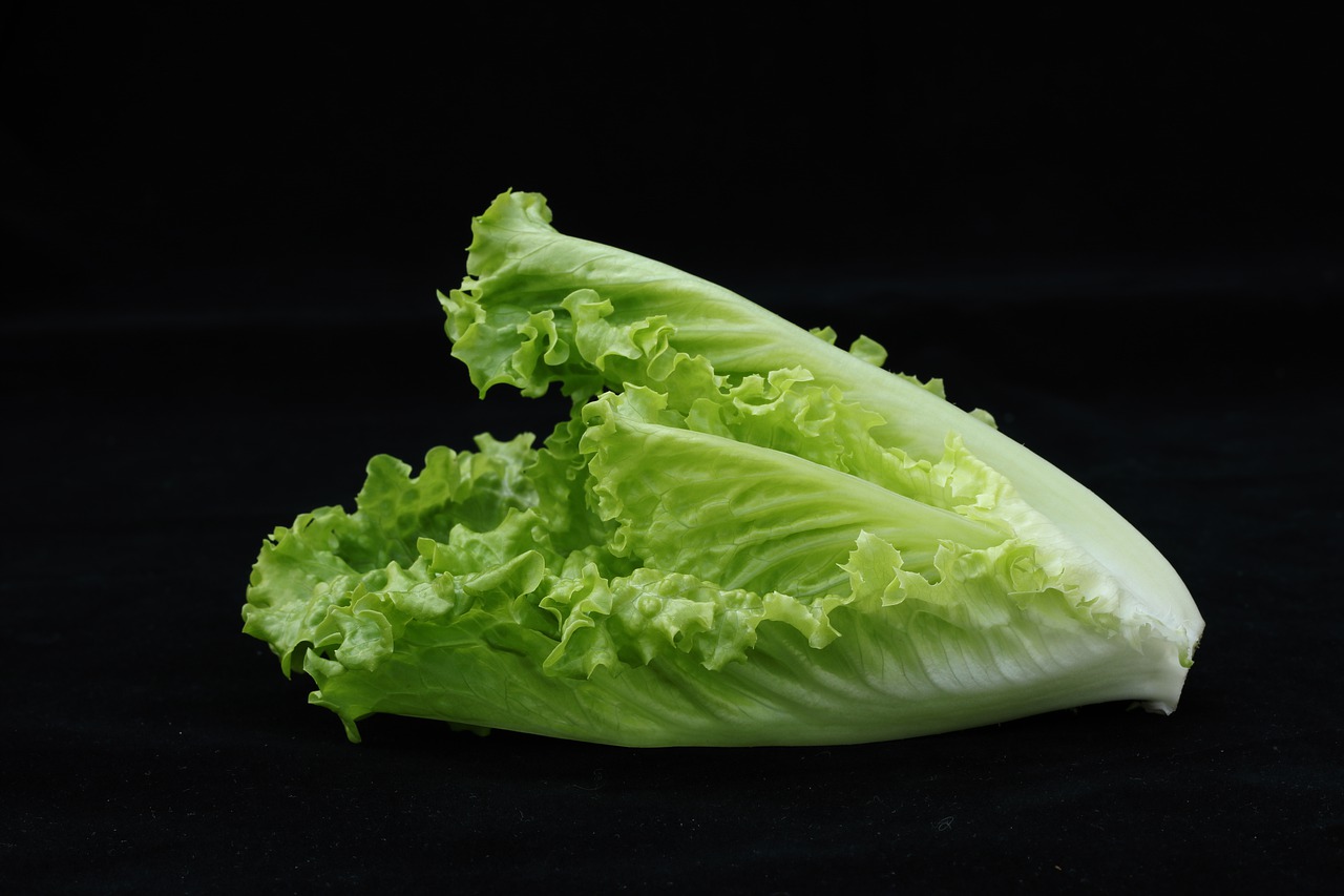 Romaine lettuce