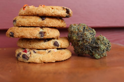 Data Review Reveals Children are At Risk of Cannabis Poisoning