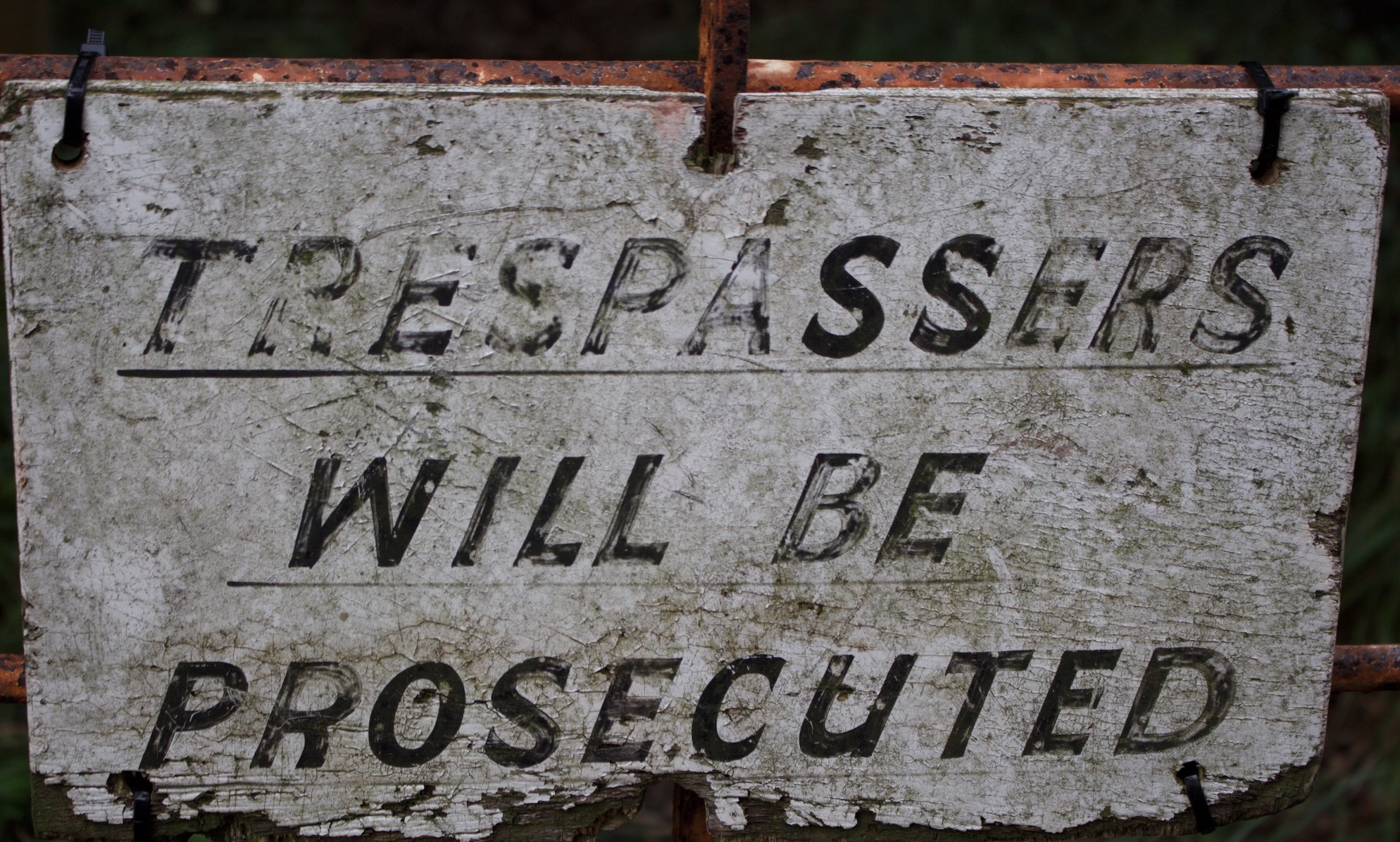Image by Nicola Carter, via Unsplash.com.