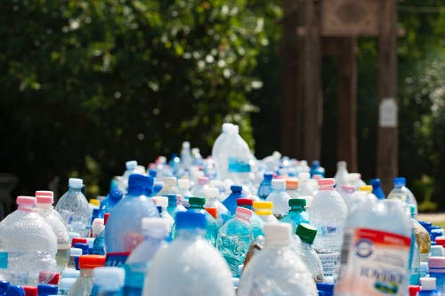 Survey Shows Most Americans Are Preserving Their Plastics