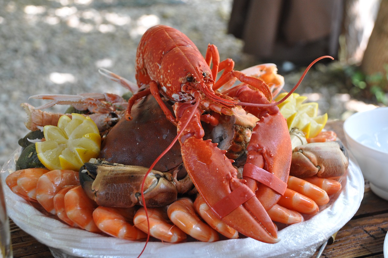 Lobster and shellfish